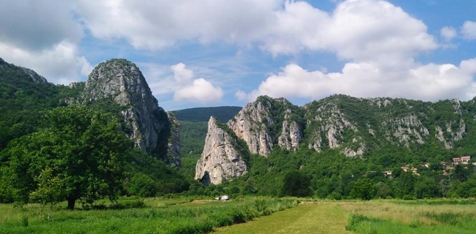 Odmaraliste Vlasko Zdrelo Pirot Buitenkant foto