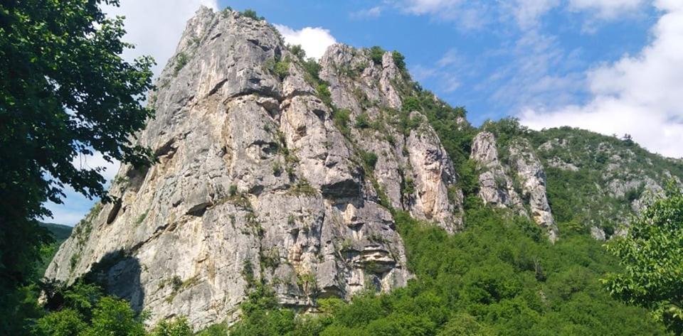 Odmaraliste Vlasko Zdrelo Pirot Buitenkant foto