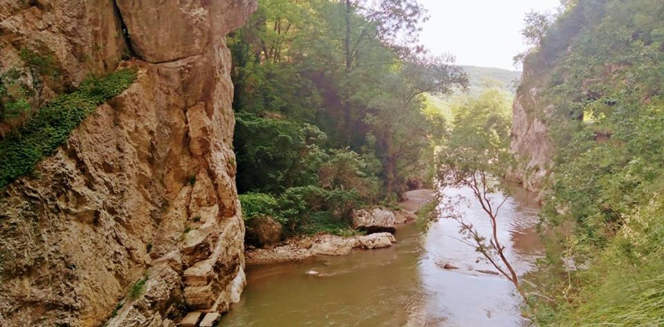 Odmaraliste Vlasko Zdrelo Pirot Buitenkant foto