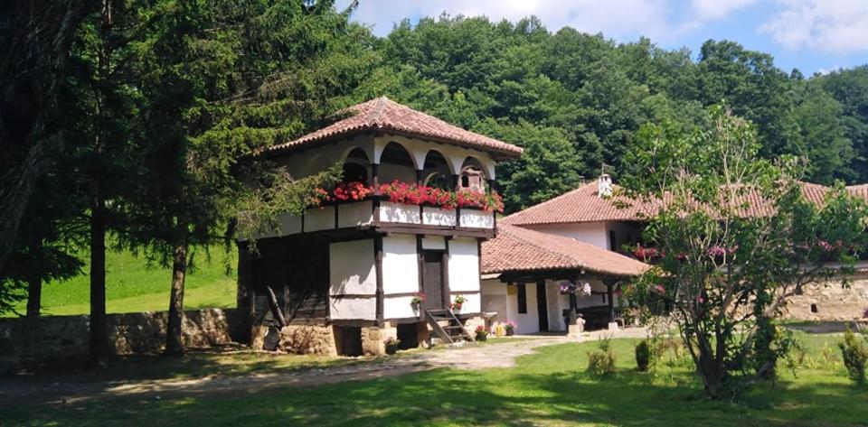 Odmaraliste Vlasko Zdrelo Pirot Buitenkant foto