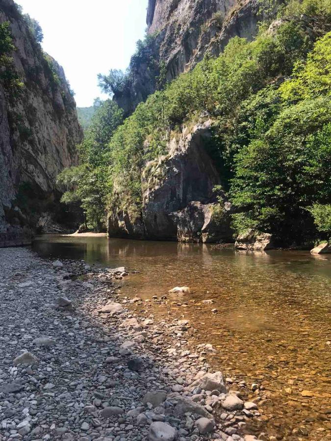 Odmaraliste Vlasko Zdrelo Pirot Buitenkant foto