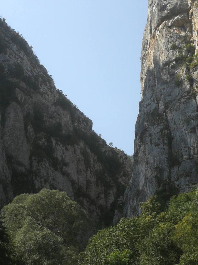 Odmaraliste Vlasko Zdrelo Pirot Buitenkant foto